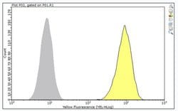 EphA2, Mouse anti-Human, Clone: F2-27, Millipore Sigma 100 &mu;g | Buy Online | MilliporeSigma | Fisher Scientific